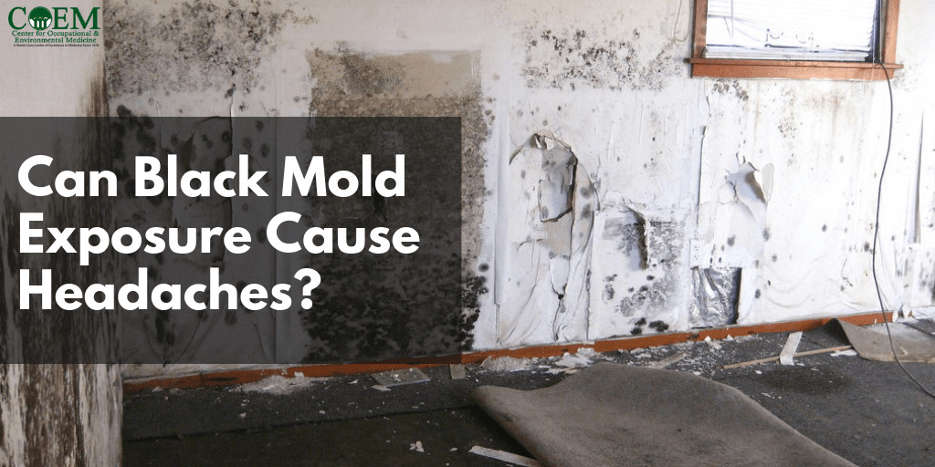 Are Headaches A Symptom Of Mold Exposure? Understanding The Link Between Mold And Headache Symptoms