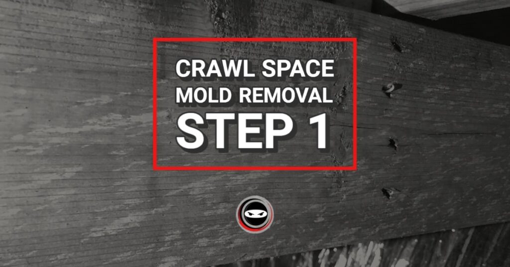 How To Remove Mold From Crawl Space Yourself: Step-by-Step Guide For Homeowners