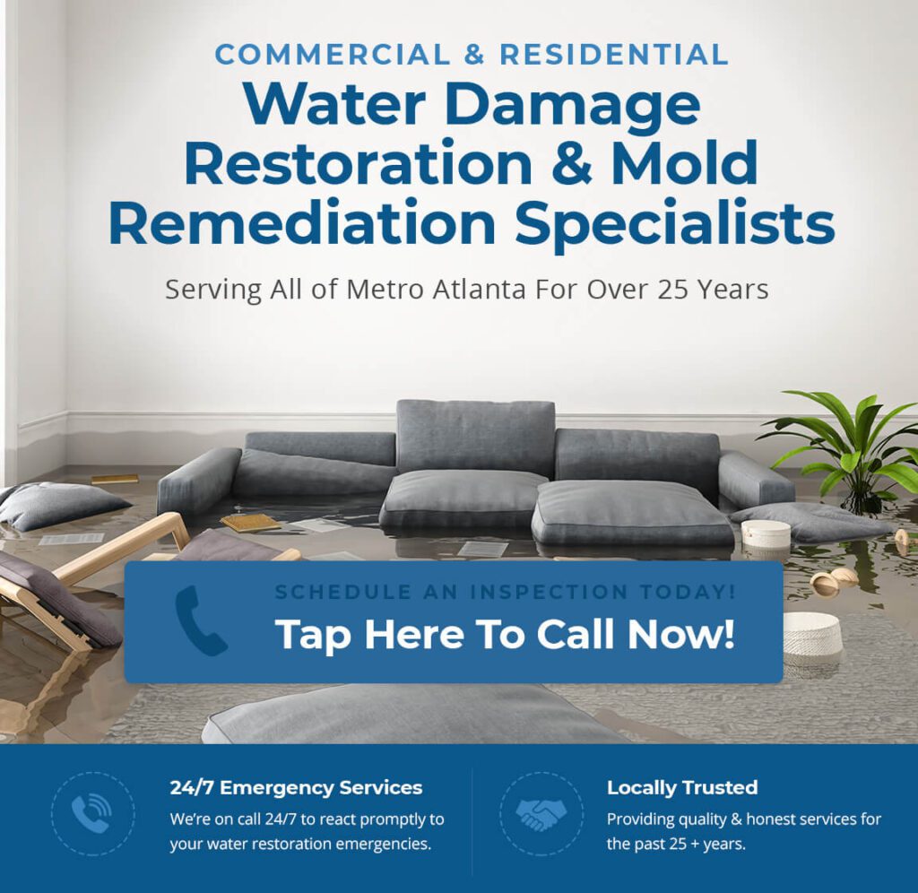 Mold Removal Roswell GA: Professional Solutions For A Mold-Free Home