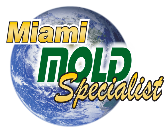 Are There Any Green Or Eco-Friendly Mold Removal Methods In Miami?