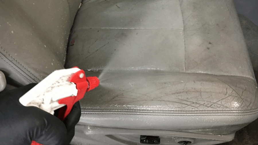 Are There Any Natural Methods To Remove Mold From Car Interior?