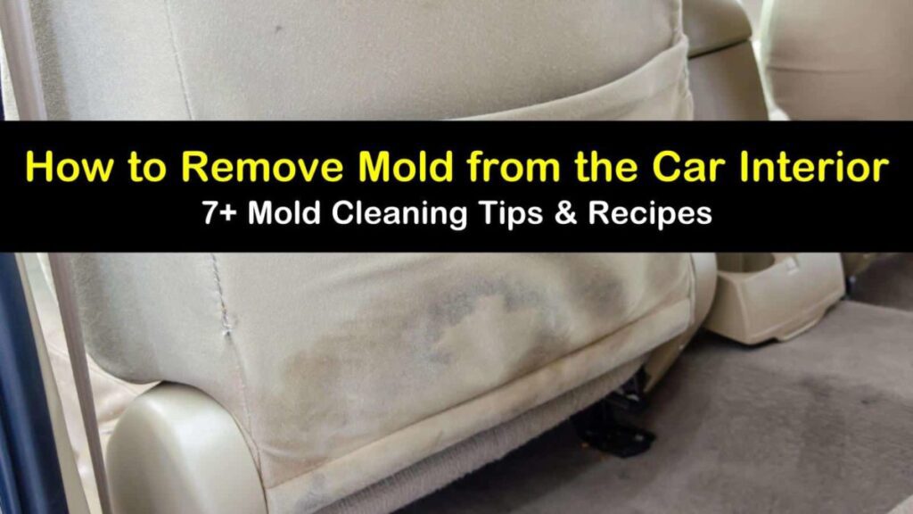 Are There Any Natural Methods To Remove Mold From Car Interior?