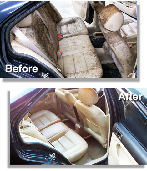 Are There Any Specialized Car Detailing Services For Mold Removal?