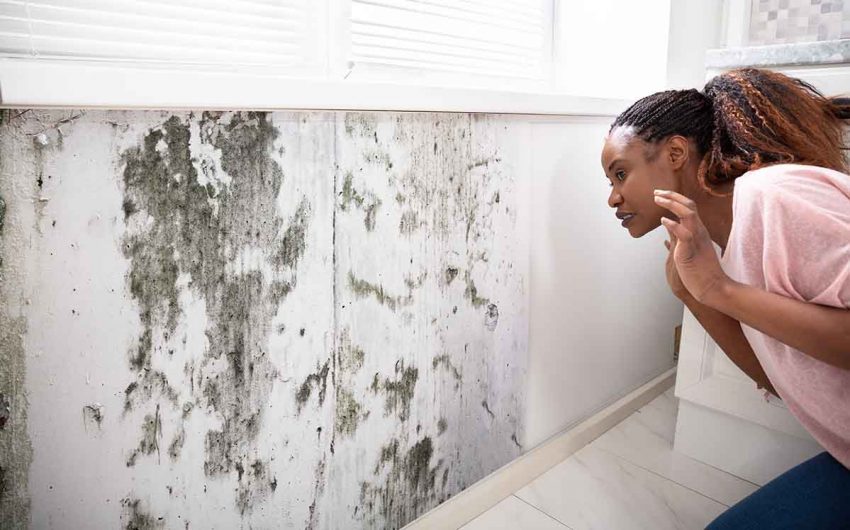 Black Mold Removal From Drywall: How To Tackle The Issue Effectively