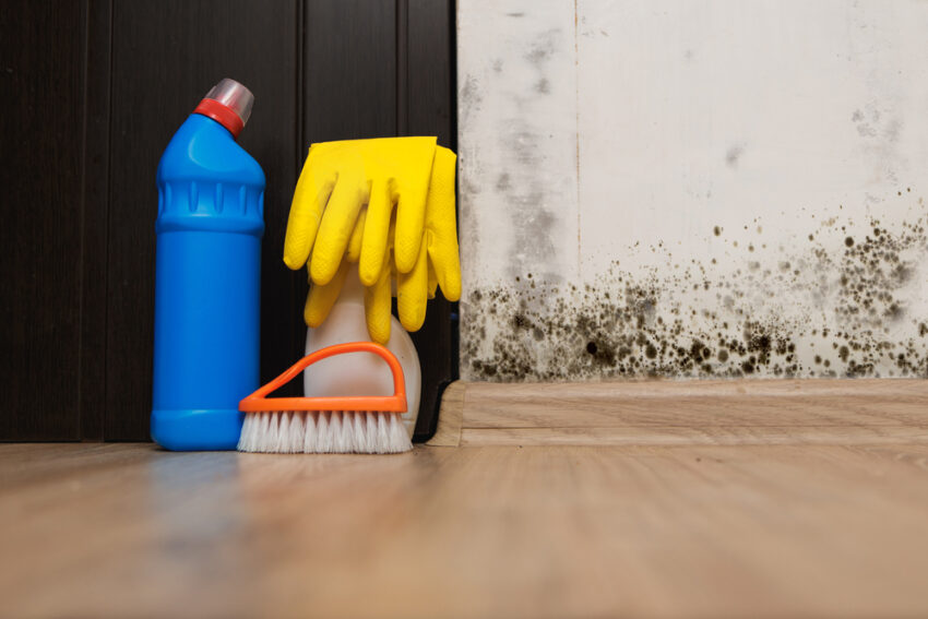 Can I Use Household Cleaners For Removing Black Mold From Drywall?