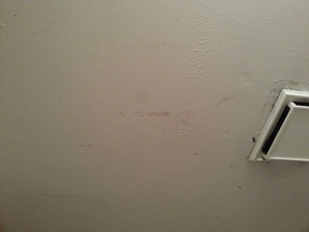 Can Mold On A Painted Ceiling Cause Damage To The Paint?