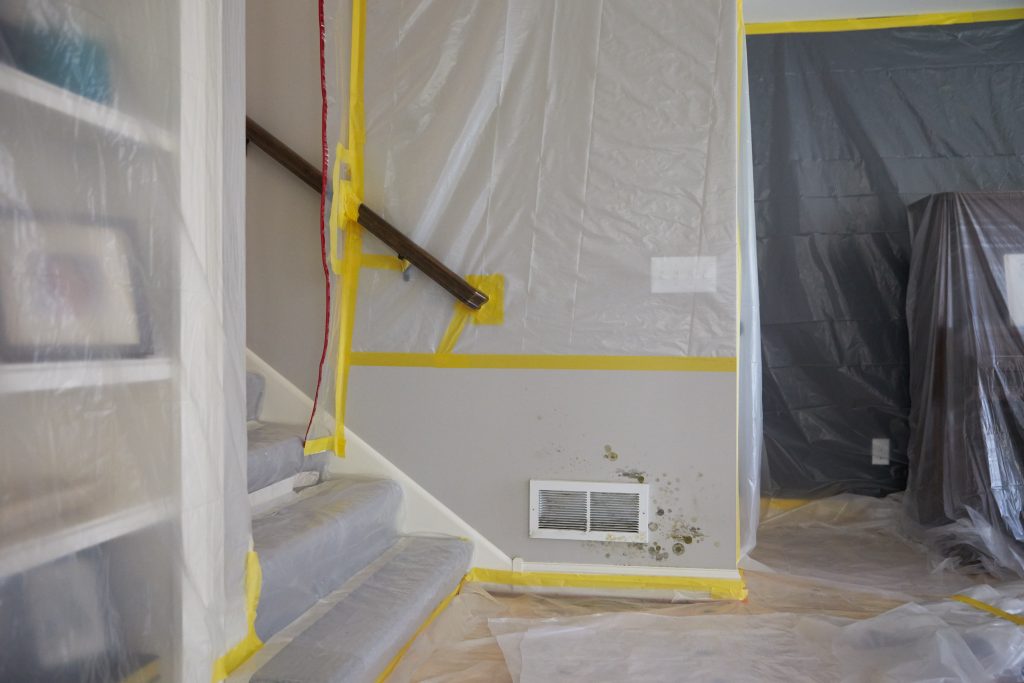 Can You Leave Mold Behind Drywall?