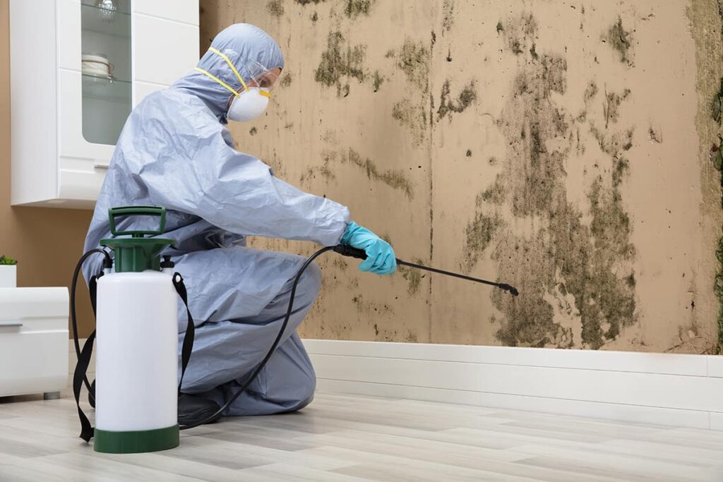 Dealing With Mold Issues In Orlando? Discover Effective Mold Removal Methods
