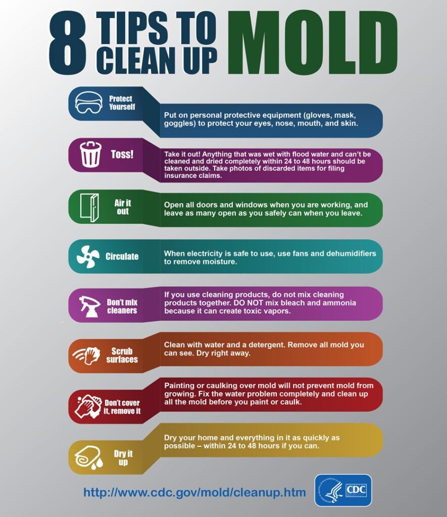 Department Of Health Mold Inspection