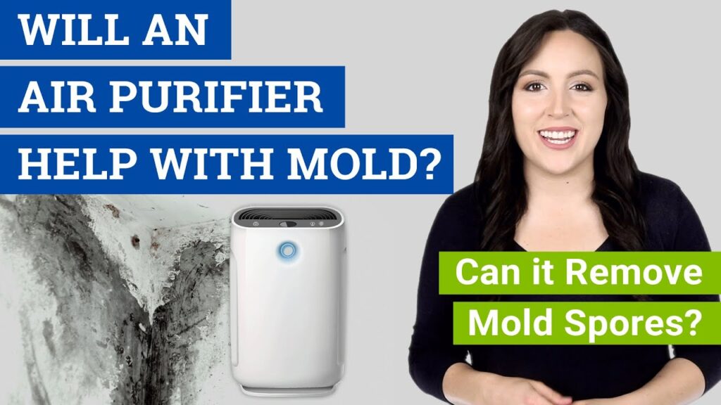 Do Air Purifiers Help With Mold?
