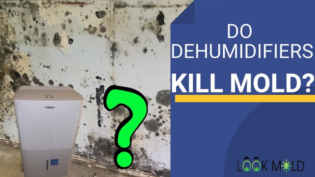 Do Dehumidifiers Remove Mold?