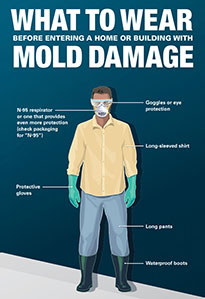 Do I Need To Wear A Mask When Cleaning Mold?