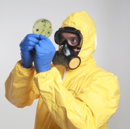 Do I Need To Wear A Mask When Cleaning Mold?