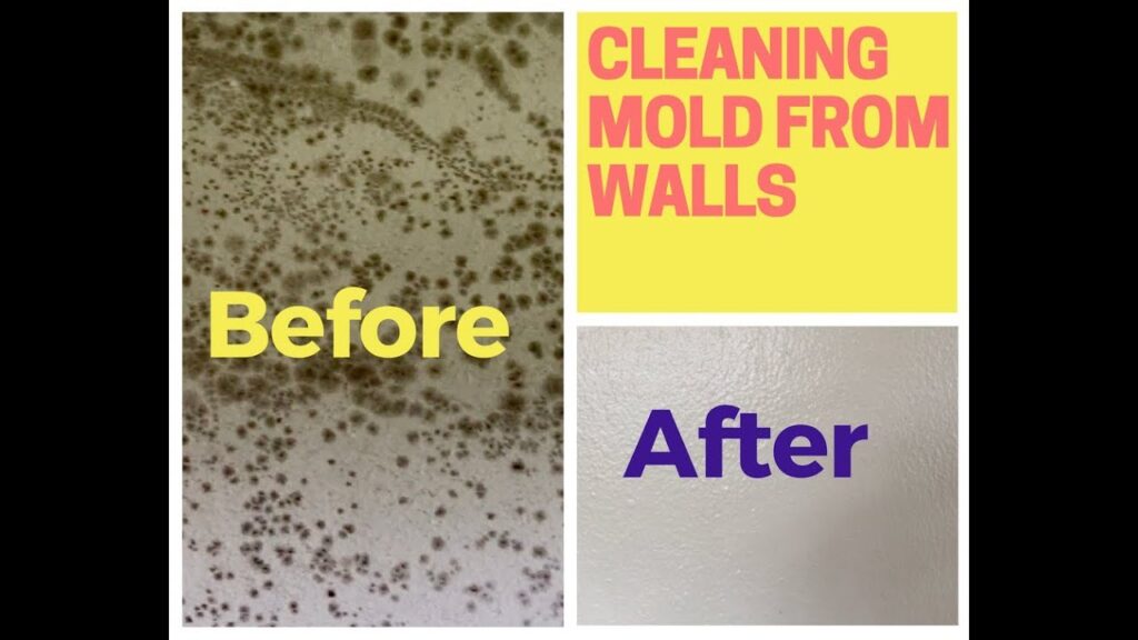 How Do You Remove Mold From Drywall Permanently?