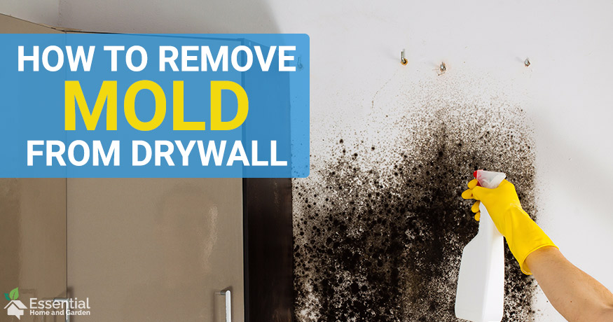 How Do You Remove Mold From Drywall Permanently?