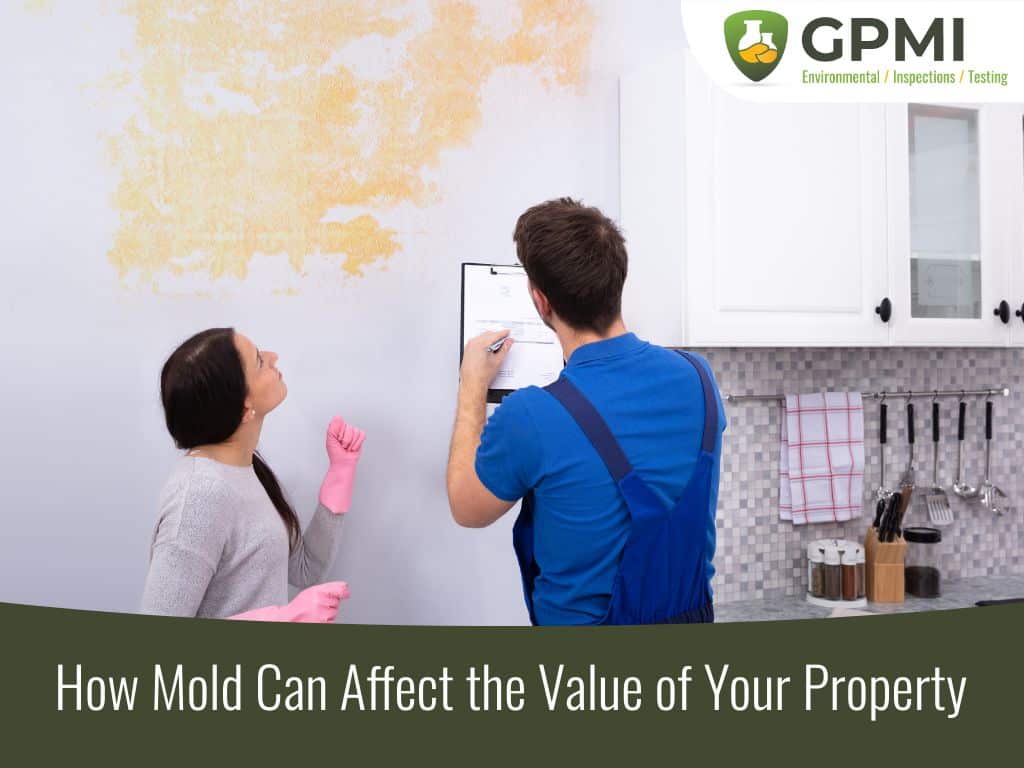 How Does Mold Remediation Affect Home Value?
