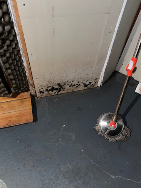 How Long Does Mold Removal In Westchester NY Typically Take?