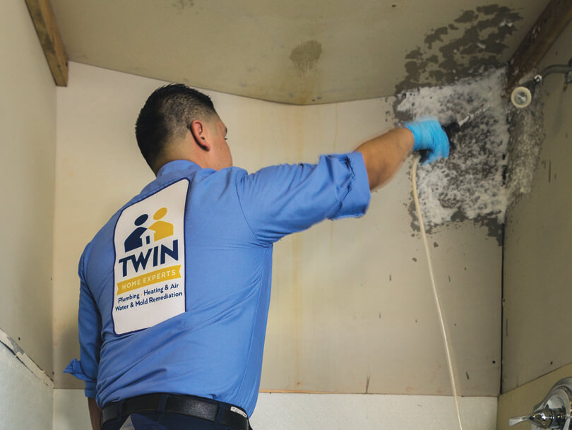 How Long Does Mold Removal Take In Phoenix Properties?