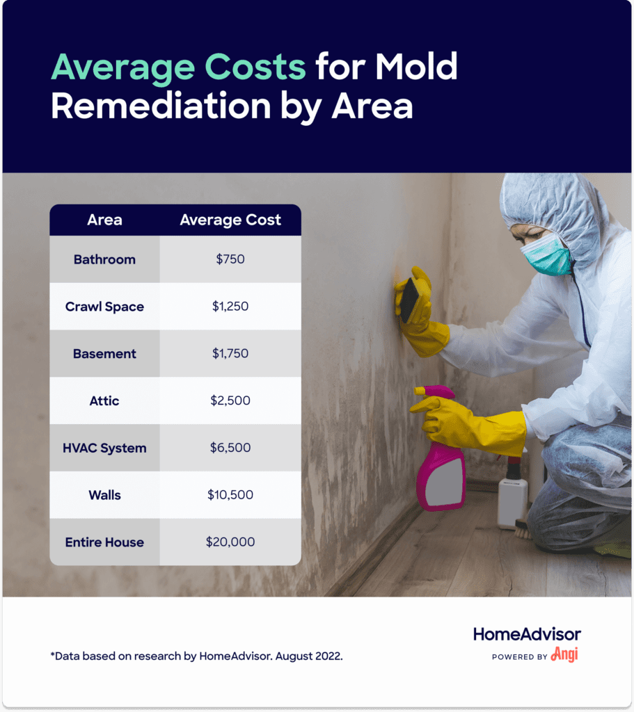 How Much Does Mold Removal In Brooklyn Typically Cost?