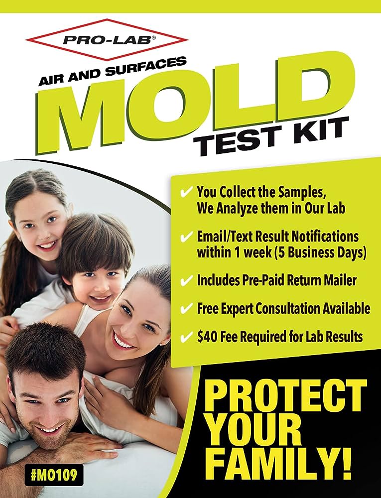 How To Get A Free Mold Inspection: Exploring Ways To Safeguard Your Familys Health
