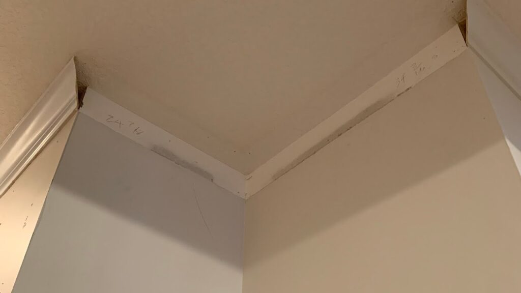 How To Remove Crown Molding: Can You Do It Yourself?