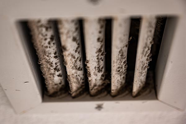 How To Remove Mold From Air Vents: Effective Techniques For A Mold-Free Home