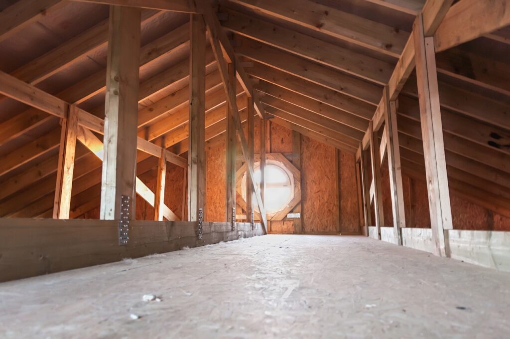 How To Remove Mold From Attic Plywood: Can You DIY Or Should You Seek Help?
