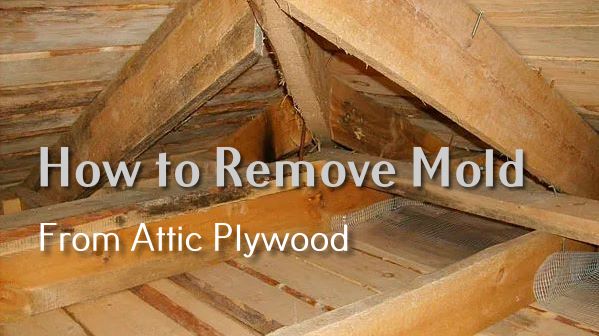 How To Remove Mold From Attic Plywood: Essential Steps For A Healthy Space