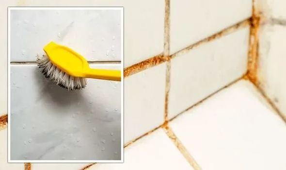 How To Remove Mold From Grout: Effective Techniques For A Clean And Healthy Bathroom