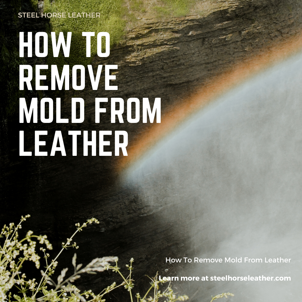 How To Remove Mold From Leather: Tips To Preserve And Restore Your Beloved Items