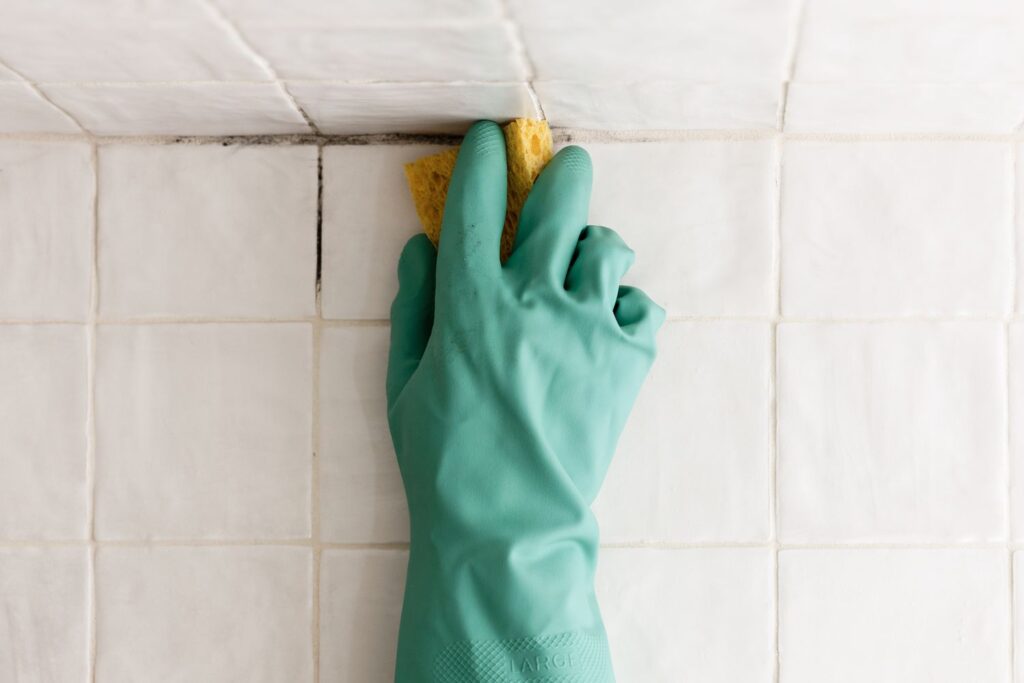 How To Remove Mold From Painted Ceiling: Step-by-Step Guide For A Fresh Space