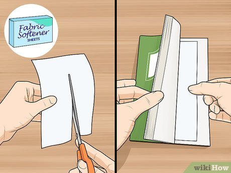 How To Remove Mold Smell From Books: Preserving Your Library And Getting Rid Of Musty Odors