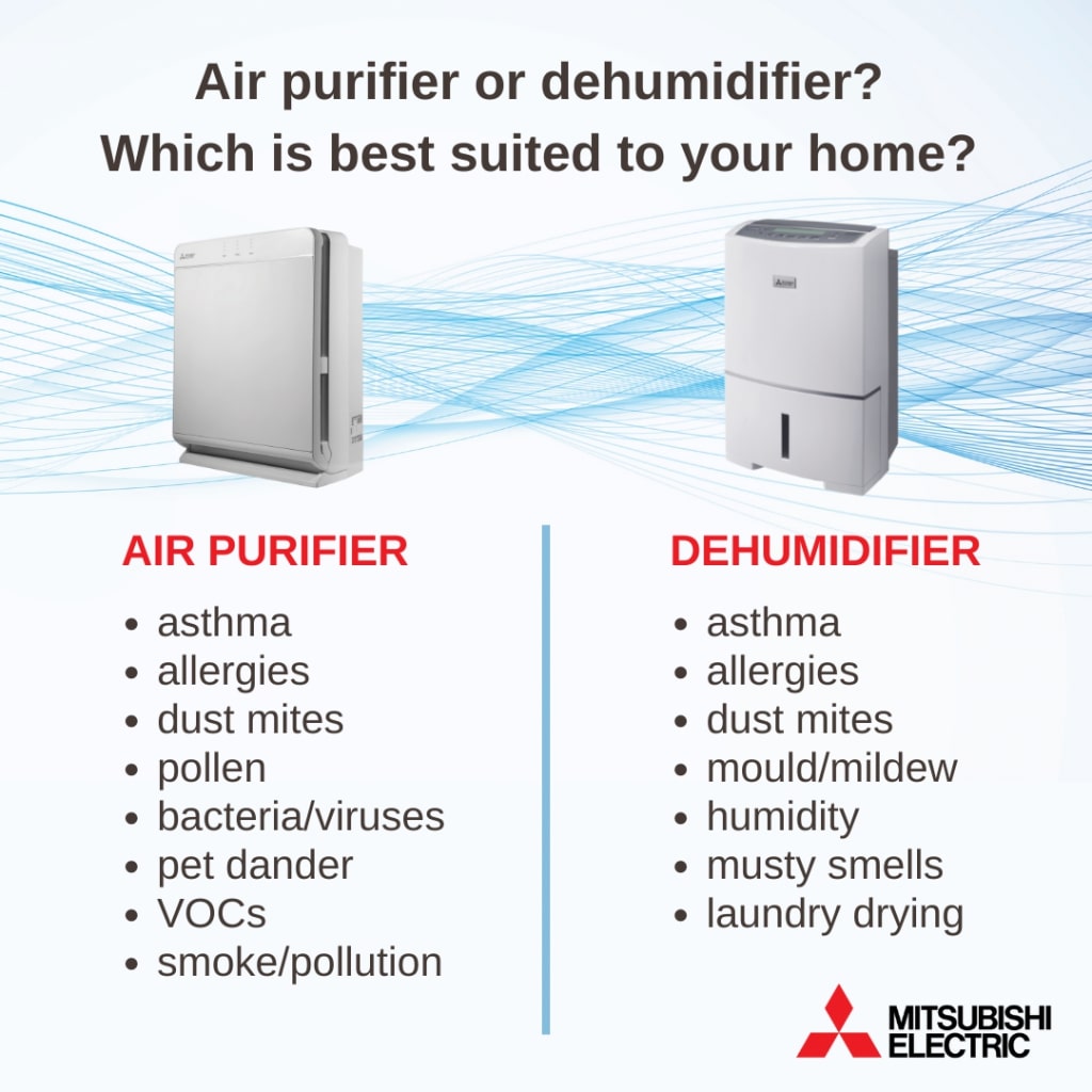 Is A Dehumidifier Or Air Purifier Better For Preventing Mold?