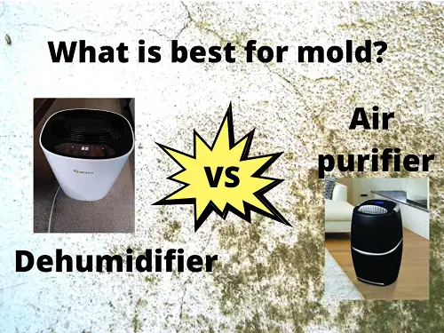 Is A Dehumidifier Or Air Purifier Better For Preventing Mold?