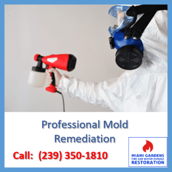 Is DIY Mold Removal Recommended For Miami Residents?