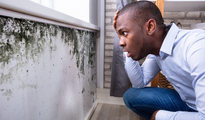 Is House Mold Worse In Summer Or Winter?