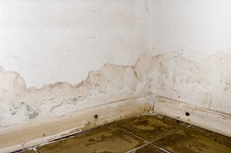 Is It Safe To Stay In A Room During The Process Of Removing Black Mold From Drywall?
