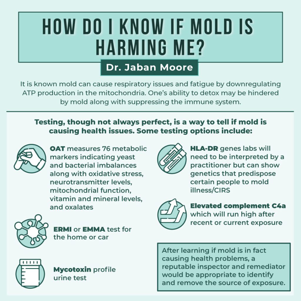Is Mold Exposure Permanent?