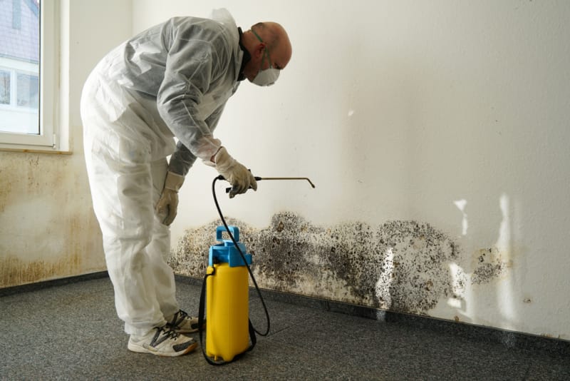 Is Mold Removal In Garland Covered By Homeowners Insurance?
