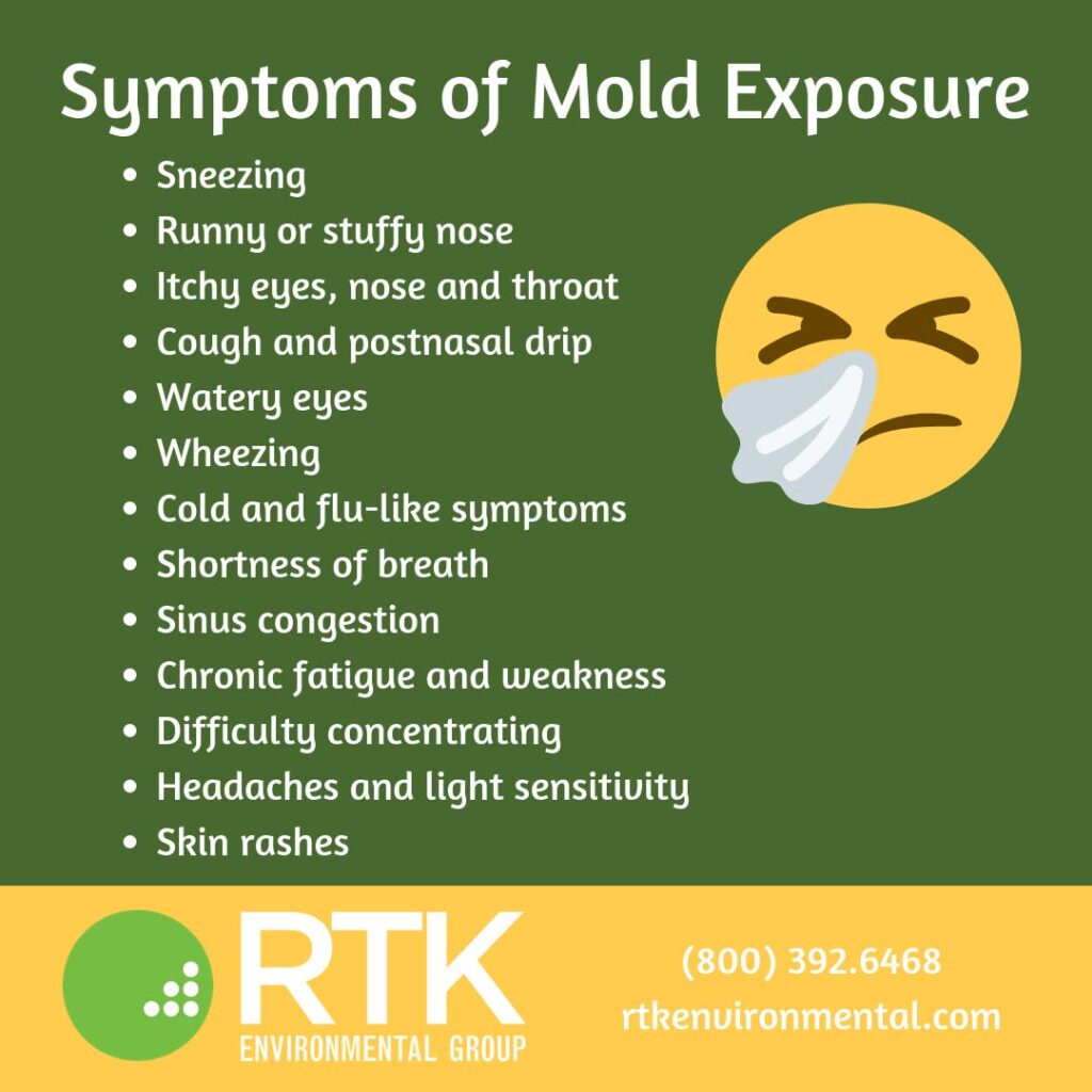 Is Sneezing A Symptom Of Mold Exposure? Investigating Respiratory Reactions To Mold