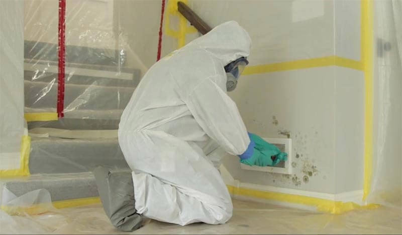 Mold Removal Roswell GA: How To Address Mold Issues Effectively