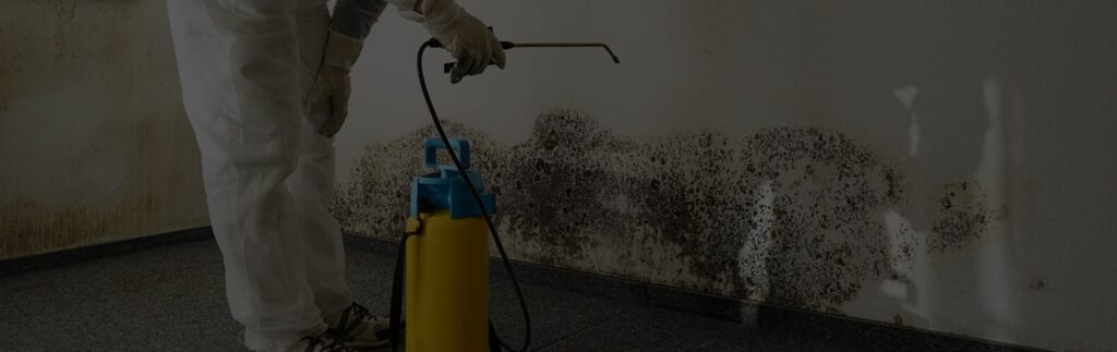 Mold Removal Sacramento: Ensuring A Clean And Healthy Living Space