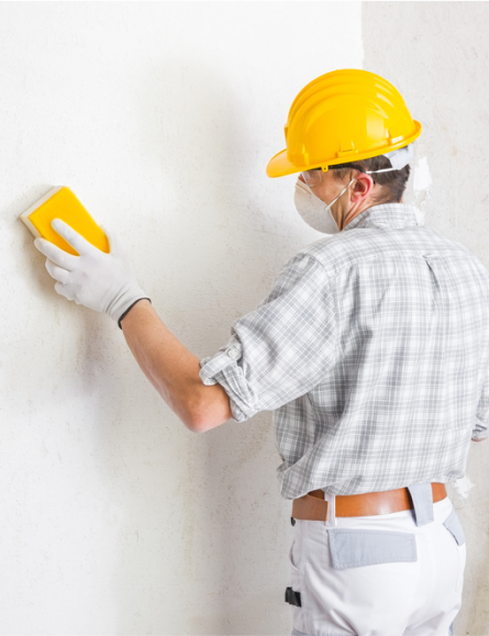 Mold Removal Seattle: Professional Services For A Mold-Free Home