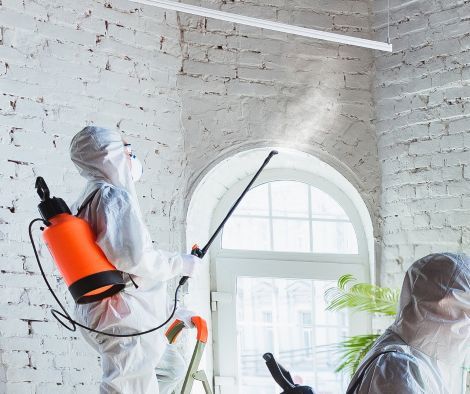 Mold Removal Westchester NY: Restoring Clean Air And A Safe Home