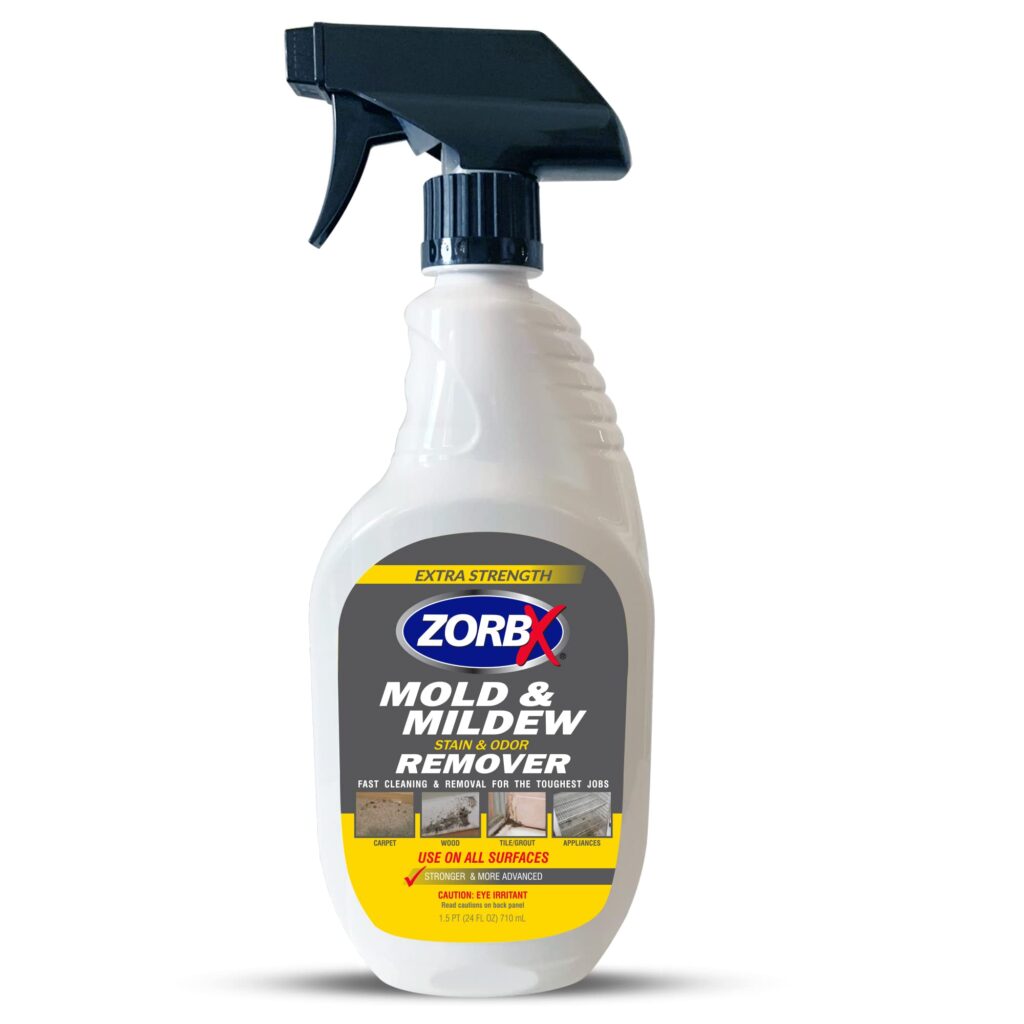 Mold Remover For Carpet: Top Products To Keep Your Carpets Clean And Mold-Free