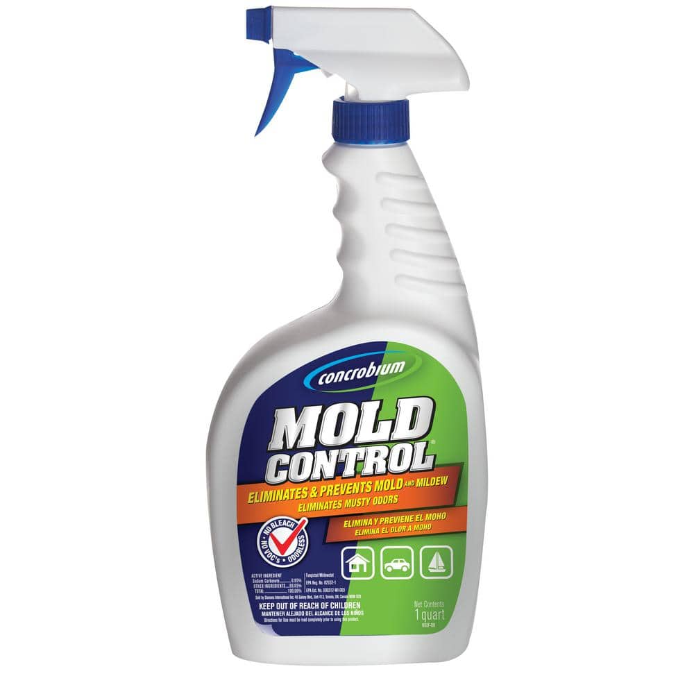 Mold Remover For Carpet: Top Products To Keep Your Carpets Clean And Mold-Free