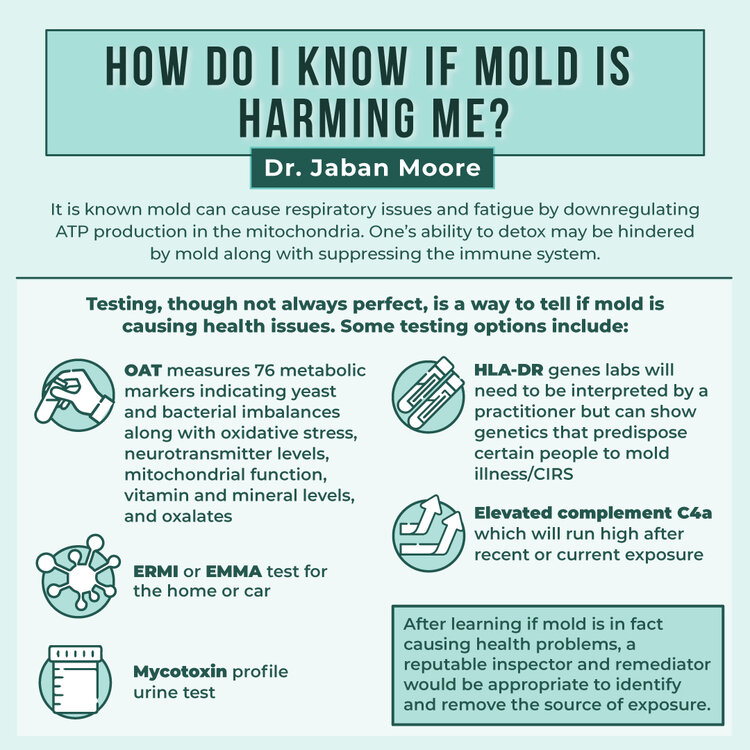 Neurological Symptoms Of Mold Exposure: A Comprehensive Guide To Recognizing And Addressing Issues