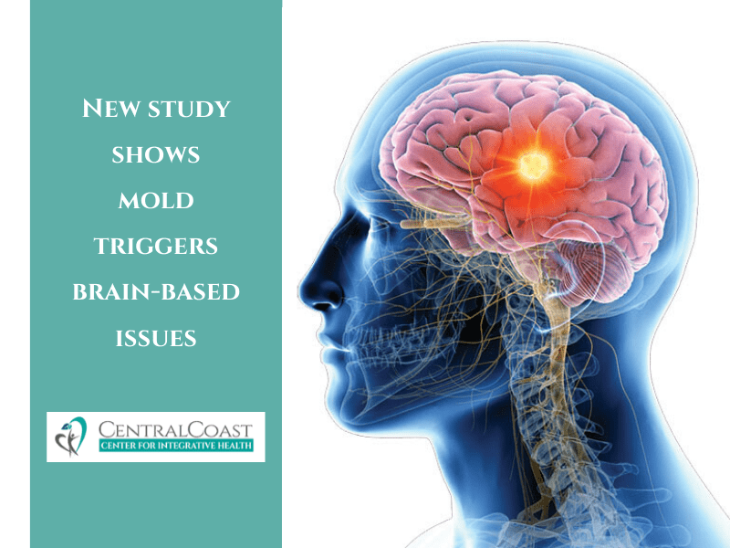 Neurological Symptoms Of Mold Exposure: Unraveling The Link Between Mold And Nervous System
