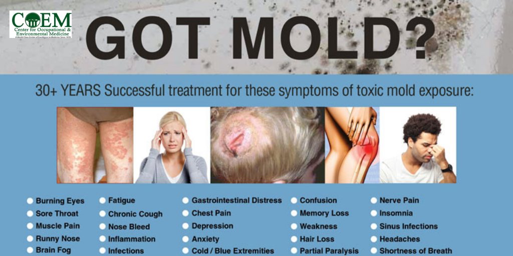 Physical Symptoms Of Exposure To Mold: How Mold Can Affect Your Well-being