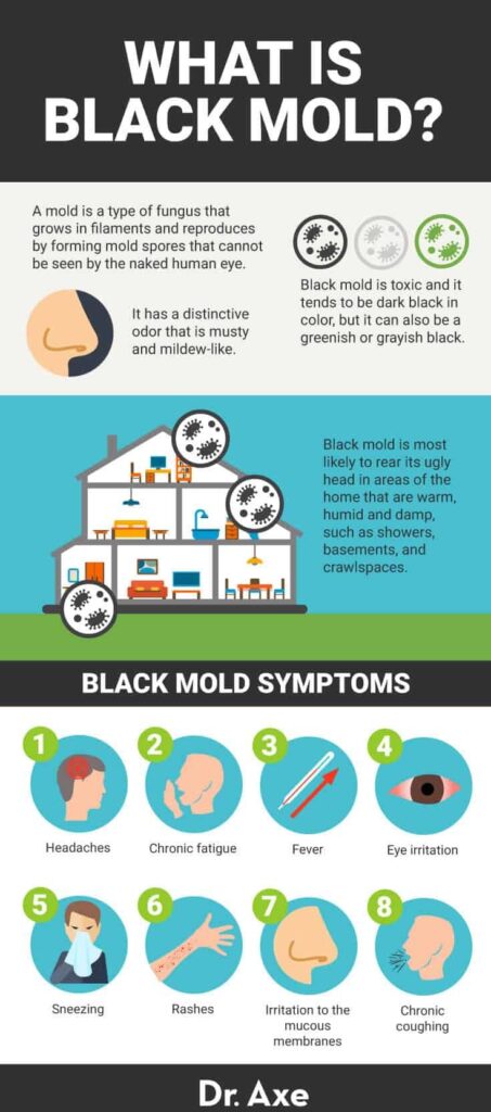 Signs And Symptoms Of Exposure To Black Mold: What To Look Out For